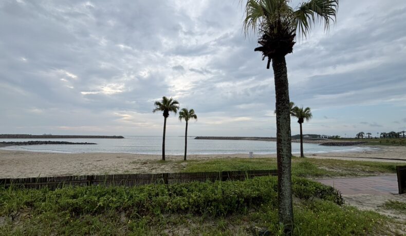 早朝から深夜まで、元気ビンビンに営業中