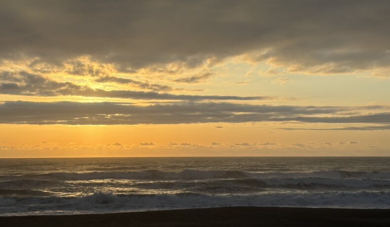 夜明けが早くなってきたのでそろそろ朝活はじめんといかん今日この頃