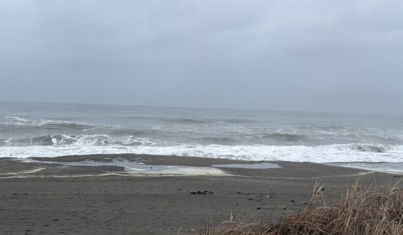 宮崎らしく安定のクローズしちょります〜