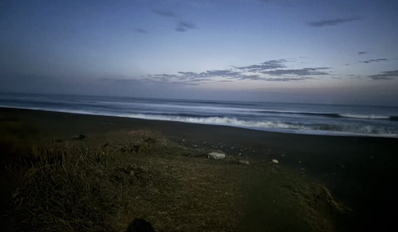 何歳までサーフィンできるのか？