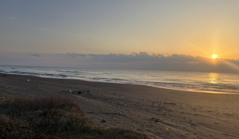 今からオンライン試験だよ〜