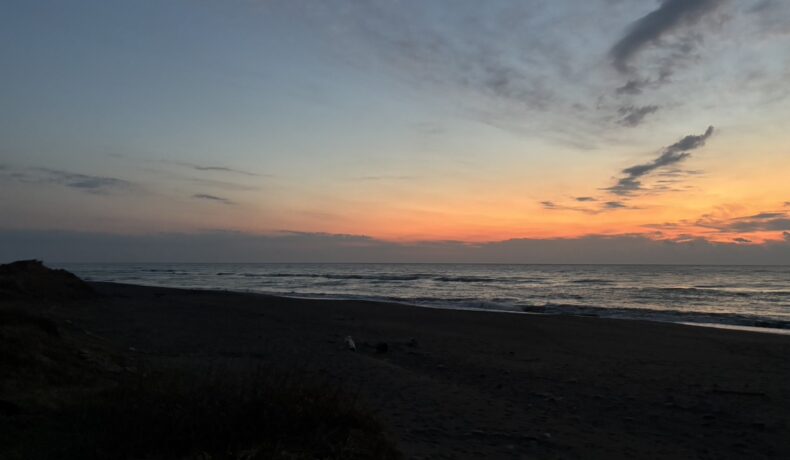 早朝からの仕事は気持ち良い