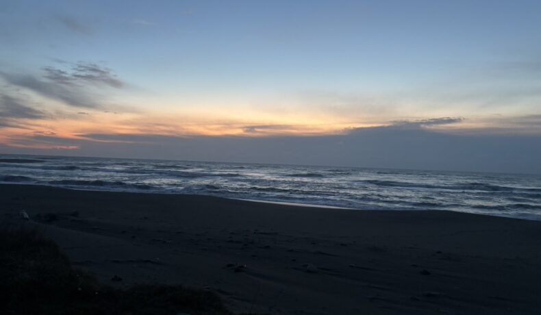 マジでやばいど〜