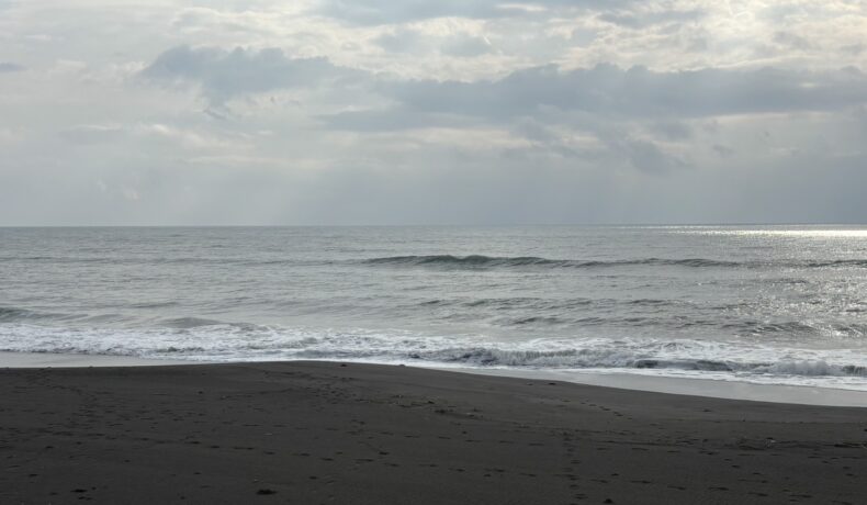 娘の彼氏と食事〜