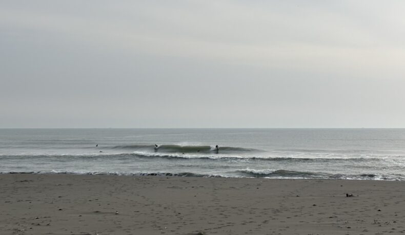 今日は朝イチ仲間と木崎浜へ遠征