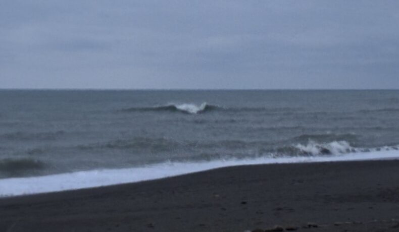 今日から新年度