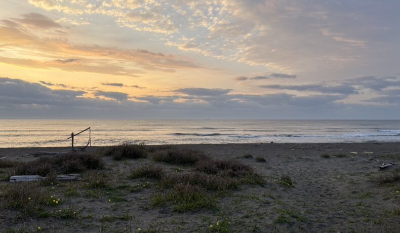 お陰様でで毎日充実しております♪