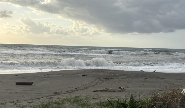台風のうねりしっかりと届いてます♪