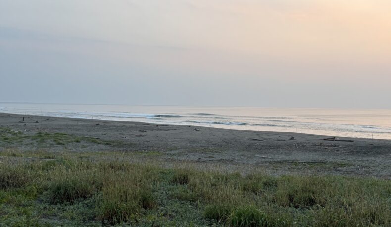 遠征して木崎浜へ〜