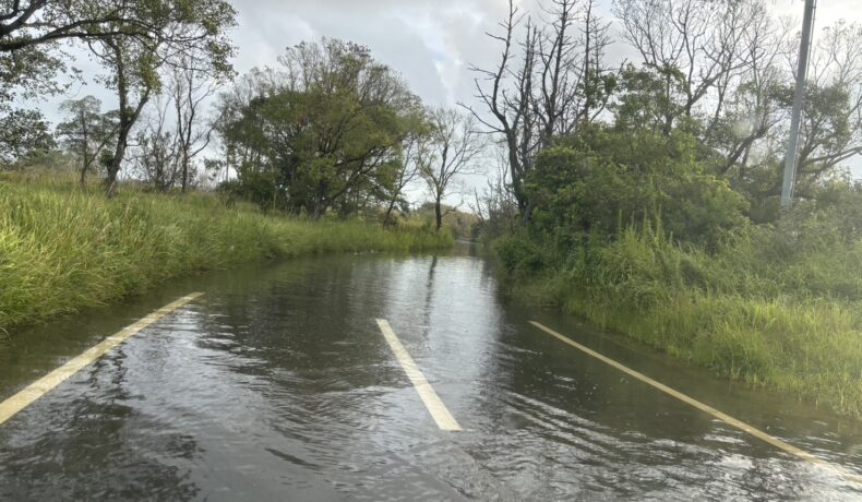 爆睡中にすごく雨降ったのね
